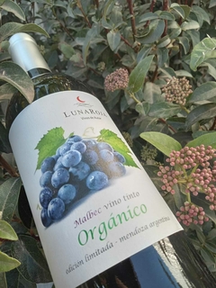 Vino Malbec Organico Luna Roja por sseis botella - comprar online