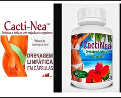 Cactinea - comprar online