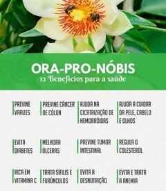 ORA-PRO-NÓBIS - comprar online