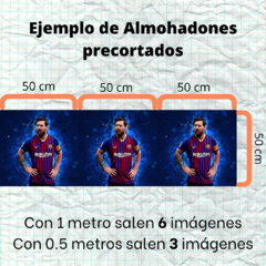 ALMOHADONES PRECORTADOS - MESSI 2 - comprar online