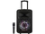 Caixa de Som Amplificada Bluetooth LED TRC 536 480W Microfone