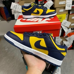 Nike Dunk Low Michigan na internet