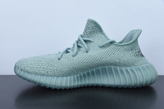 Yeezy Boost 350 Salt na internet