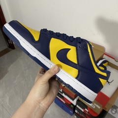 Nike Dunk Low Michigan na internet