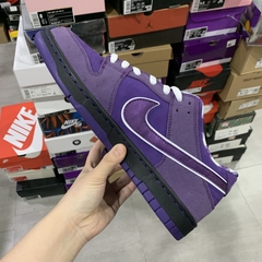 Concepts x Nike SB Dunk Low "Purple Lobster" - Él.sneakers