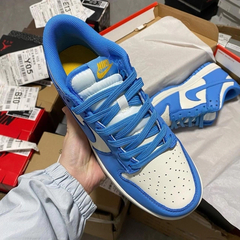 Nike Dunk Low Coast - (cópia) na internet