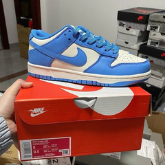 Nike Dunk Low Coast - (cópia) - loja online