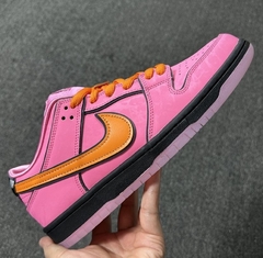 The Powerpuff Girls x Nike SB Dunk Low Blossom na internet