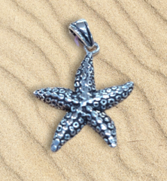 Dije Plata Estrella de Mar