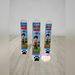 Kit Simples 04 Patrulha Canina (50 itens) (Ref. 0958) na internet