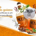 Logo de www.moed.com.br