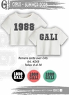 REMERA 1988