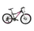 Raleigh Scout Disc R24 niña - comprar online