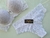 GG| Conjunto Com Bojo Renda Branca- Instinto Feminino - D'Eva Lingerie | Tudo em Lingerie e Sex Shop 