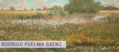 Banner de la categoría RODRIGO PUELMA SAENZ