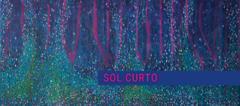 Banner de la categoría SOL CURTO