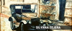 Banner de la categoría SILVANA TEJERA