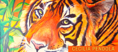 Banner de la categoría CECILIA PENDOLA