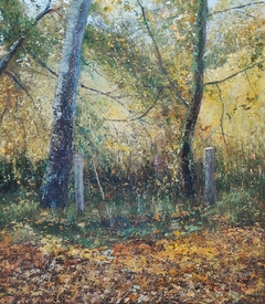 Álamos plateados en Otoño / Oleo sobre madera / 40 x 40 cm