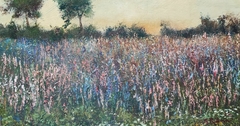 Campo con flores Silvestres / Óleo sobre madera/ 22 x 40 cm