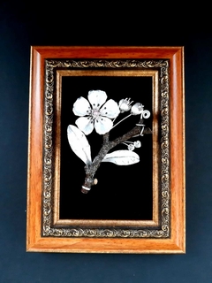 Imagen de Broche: Medidas 10×7,5×1,8 cm / 25g / Plata 925, circón Swarovski / Rama de manzano natural.