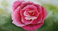 La Rosa del 2020 Óleo sobre lienzo 50 x 90 cm