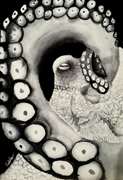 Pulpo / 2022 / Tinta china sobre hoja de acuarela / 35 x 50 cm.