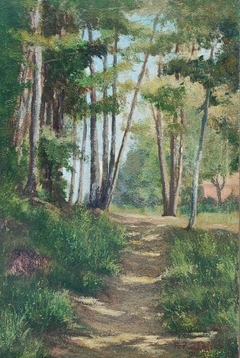 Sendero de montaña / Óleo sobre madera / 36x24cm /