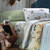 Jogo de Cama Solteiro Premier Kids Malha Safari Altenburg - comprar online