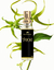 Perfume Ylang in Gold - comprar online