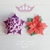 Kit Estrella Federal o Flor de la Navidad - comprar online