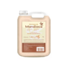 Shampoo Mandioca Lady Liss 5 Litros