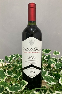 Valle de Luna Malbec