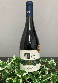 Góes Tempos Míneres Syrah Seco