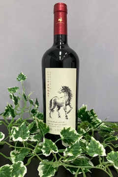 Góes Casa Venturini Tannat