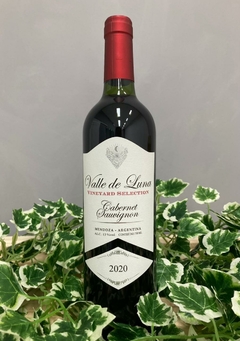 Valle de Luna Cabernet Sauvignon