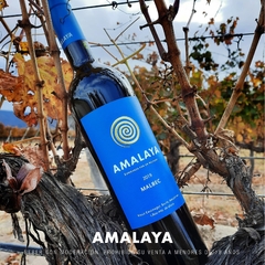 AMALAYA MALBEC - La Bodeguita Vinos Del Valle
