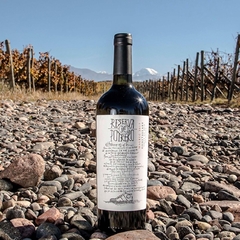 POTRERO RESERVA MALBEC - comprar online