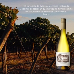 VALLISTO TORRONTES - tienda online