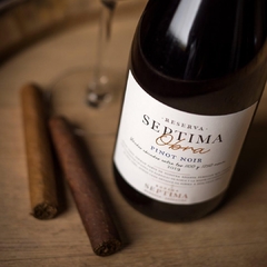 SÉPTIMA OBRA PINOT NOIR - comprar online