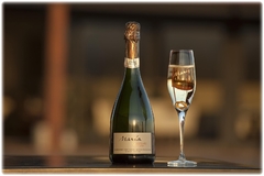 MARIA CODORNIU BRUT NATURE - comprar online