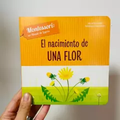 El Nacimiento de una Flor