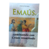 EMAUS, CAMINANDO CON CRISTO RESUCITADO