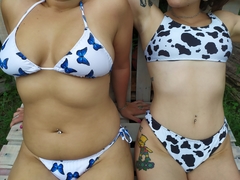 Bikini cow en internet