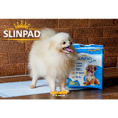 Tapete Higiênico Alta Absorção Slinpad Brincalhão 30 unidades - comprar online