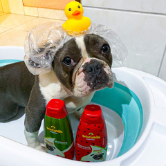 Kit Nutrição Shampoo Condicionador e Colônia Perfume Cães e Gatos Melancia Brincalhão na internet