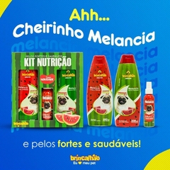 Kit Nutrição Shampoo Condicionador e Colônia Perfume Cães e Gatos Melancia Brincalhão - comprar online