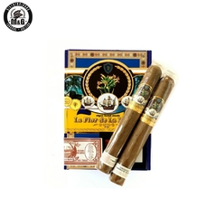 La Flor de la Isabella Robusto x1