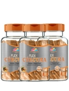 Flex Curcuma - TRATAMENTO 6 MESES