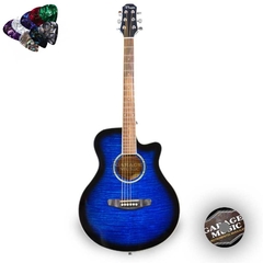 Guitarra Electro Acustica Parquer Gac109mc Amplificador G10 - tienda online